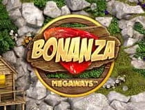Der Online Slot Bonanza.