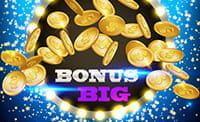 Der Schriftzug “Big Bonus” und fallende Münzen.
