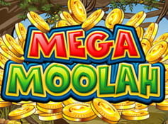 Hier findet ihr alle Informationen über den Mega Moolah Jackpot Slot von Microgaming